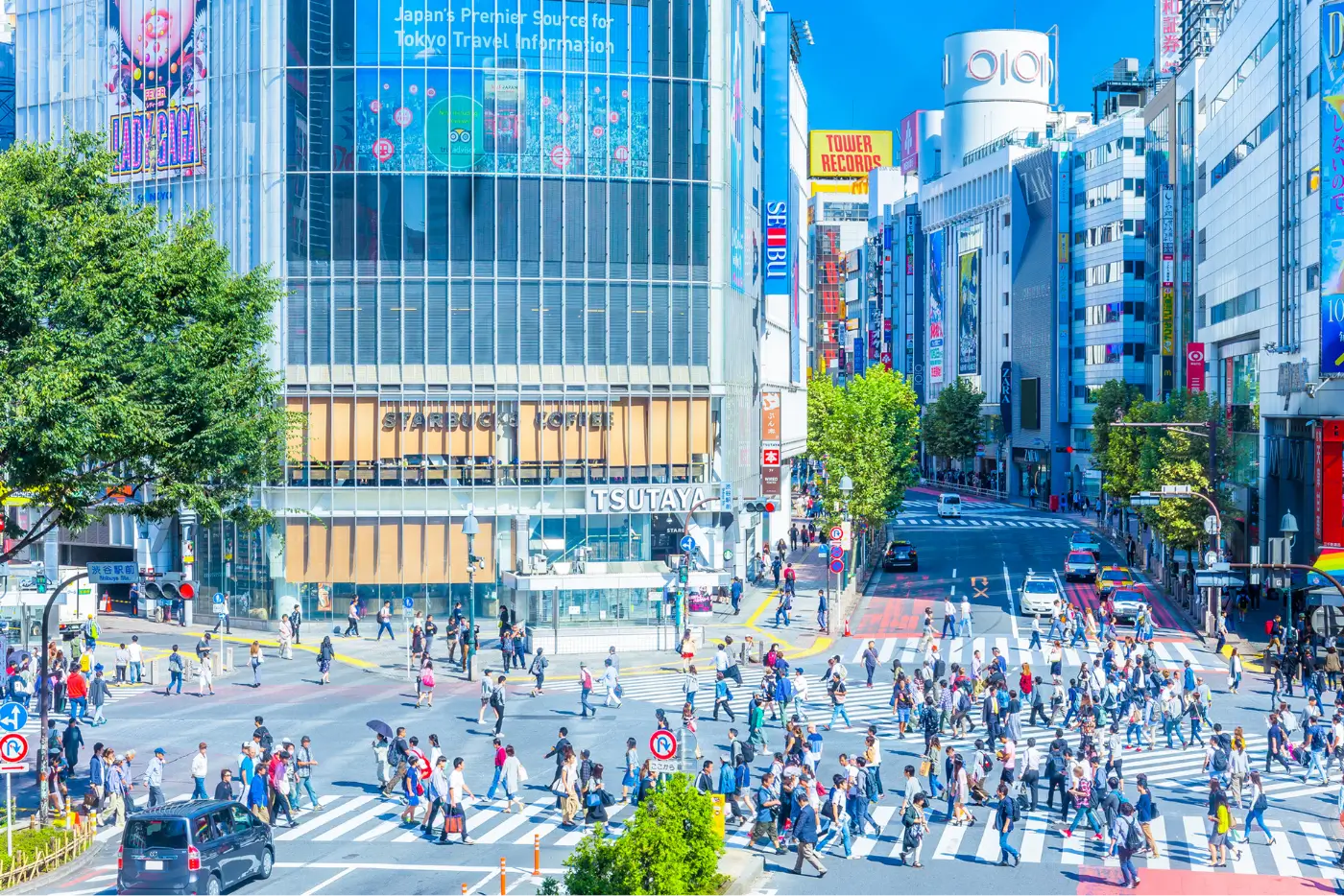 サービスプロモーション事業